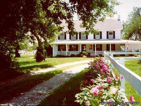 Lazyjack Inn On Dogwood Harbor Tilghman Island Εξωτερικό φωτογραφία